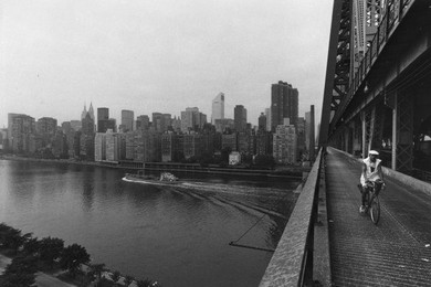 Image 147912013