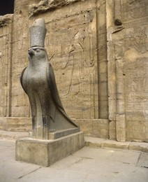 Image 147913650