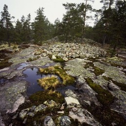 Image 147915441