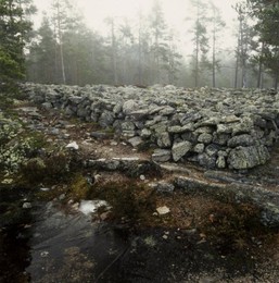 Image 147915442