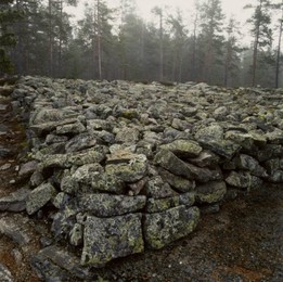 Image 147915443