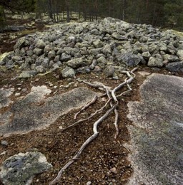 Image 147915444