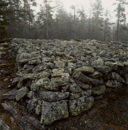 Image 147915445