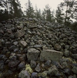 Image 147915446