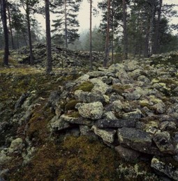 Image 147915447