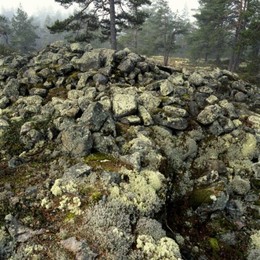Image 147915448