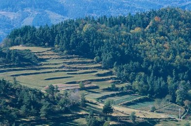 Image 147926756