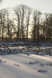 Krefeld / Niepkuhlen / Nature Reserve