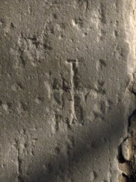 Image 147948886