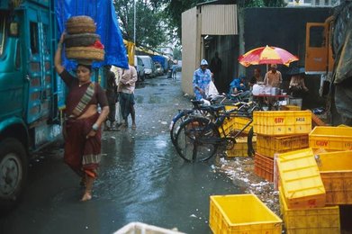 Image 147956817