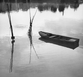 Image 147959981