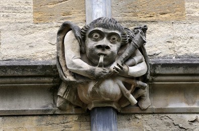 Image 147960950