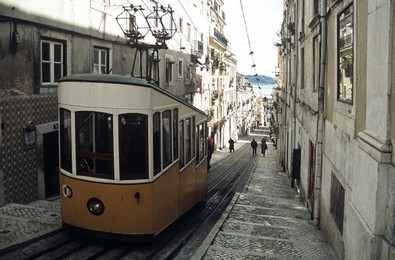 Image 147965658
