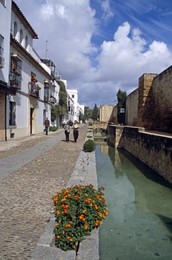 Image 147968548