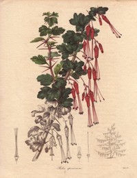 Image 147997551