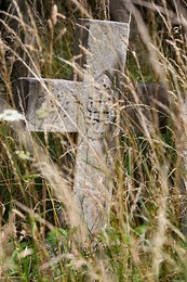 Image 148106025
