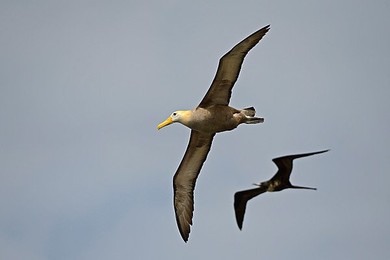 Image 148110581