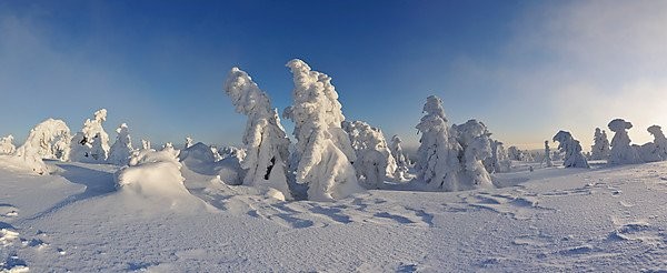 Image 148112229