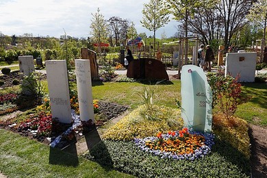 Image 148164394