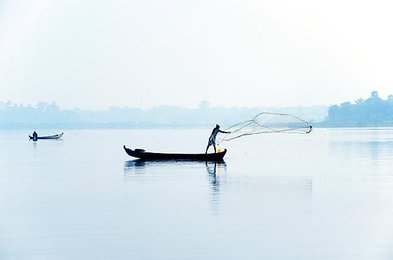 Image 148180559