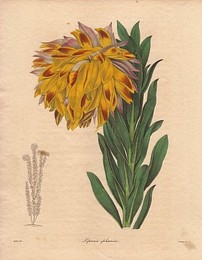 Image 153334574