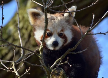 Image 155634169