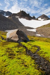 Mossy creekbed near timberline in Royal Basin, a rugged glacial cirque in Olympic National Park, Washington State, USA.