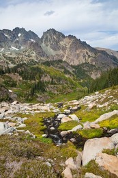 View across cirque known as Royal Basin toward Mt. Clark and The Needles, Olympic National Park, Washington State, USA.