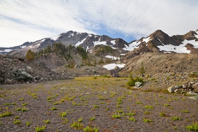 Flat plain of well-sorted gravel washing down a stream fed by melting snow, in the cirque of Royal Basin in Olympic National Park, Washington State, USA.