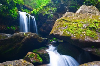 Water Rushes Between Boulders Below Grotto Falls, Roaring Fork Nature Trail, Great Smoky Mts,NP, Tennessee, USA