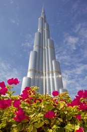 Image 158437778