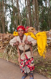Addis Ababa Ethiopia Africa poor neighborhood woman carrying big load of fire wood in Shero Meda area #2