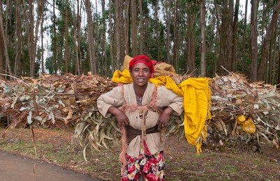 Addis Ababa Ethiopia Africa poor neighborhood woman carrying big load of fire wood in Shero Meda area #2