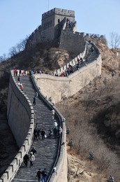 Image 158441156