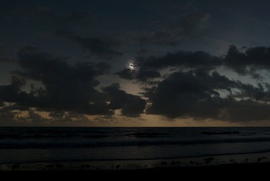 Image 158442699
