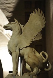 Image 158460495