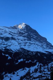 Image 159328234