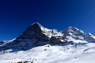 Image 159328427