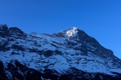 Image 159328428