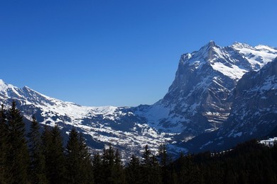 Image 159328615