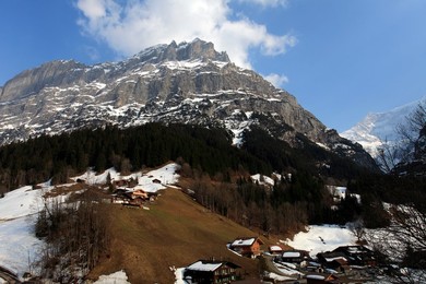 Image 159328616