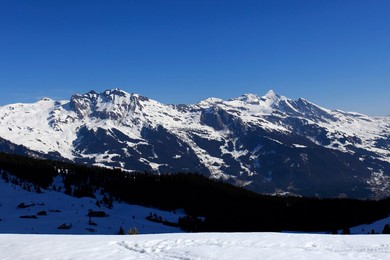 Image 159328617