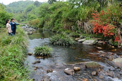 Image 160471844