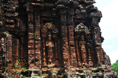 Image 160645805