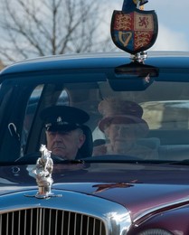 Image 161110386
