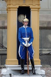Image 161415294