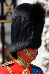 Image 164440968