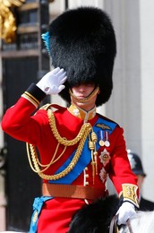 Image 164462342