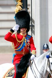 Image 164462343