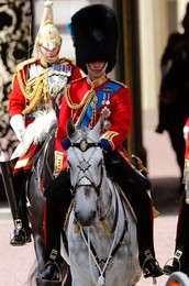 Image 164462345